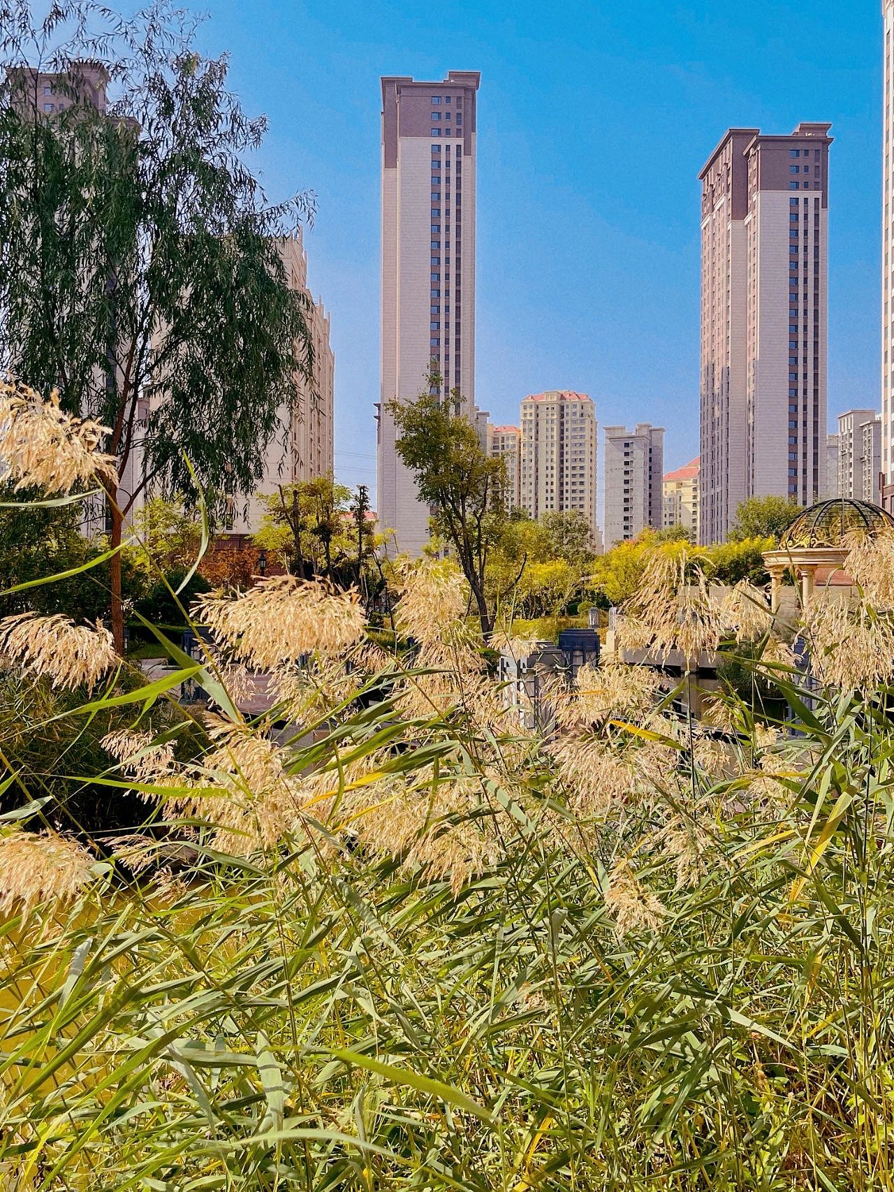 在环京楼市里赔掉十年的年轻人(组图) - 4