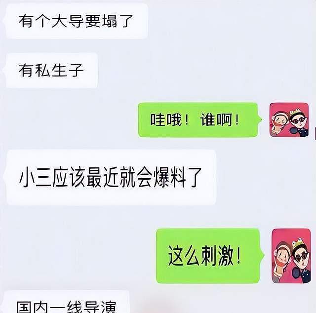 徐峥被曝出轨嫖娼,疑私生子养在国外,与陶虹早就各玩各的(组图) - 14