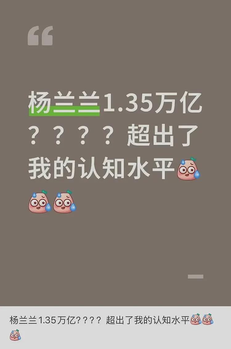 杨兰兰的1.35万亿存款，许家印听了也流泪（组图） - 3