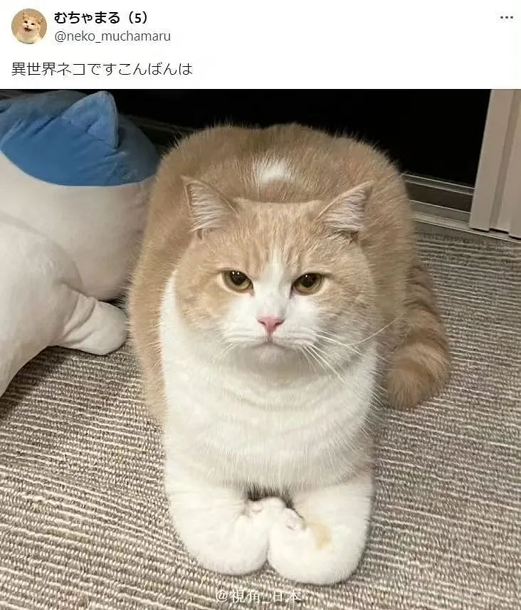 【爆笑】“前男友求复合后转了6块钱给我......“ 啊啊啊啊啊啊救救我的眼睛(组图) - 90