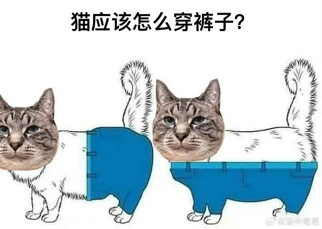 【爆笑】“前男友求复合后转了6块钱给我......“ 啊啊啊啊啊啊救救我的眼睛(组图) - 98
