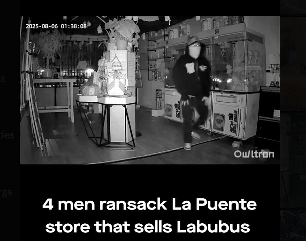洛杉矶4盗贼夜闯潮玩店零元购，翻箱倒柜只偷Labubu（视频/组图） - 2