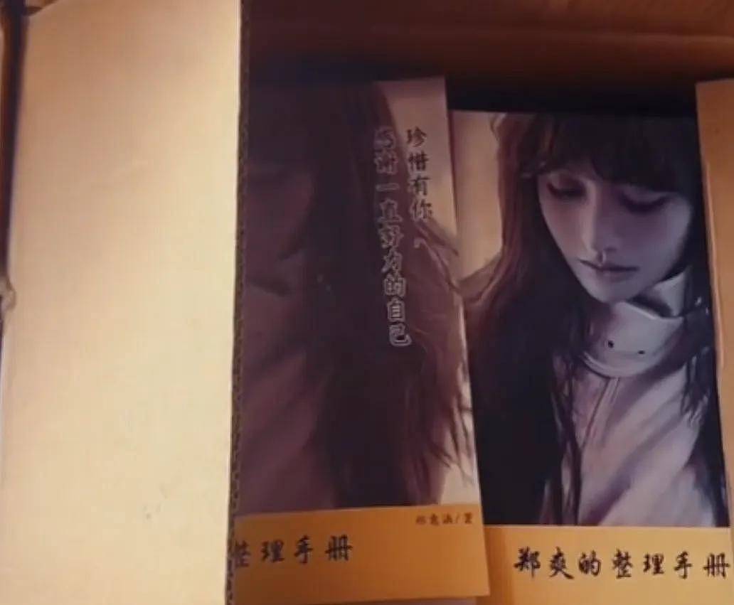 郑爽自曝可以回国!出道16年工作室发歌庆祝,网友直言还有债没还(组图) - 12