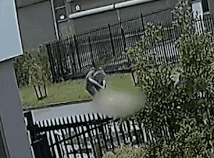 澳警员当街殴打裸女,拍视频炫耀!受害者患精神疾病,下体被喷辣椒水,惨遭踹头拖行(组图) - 2