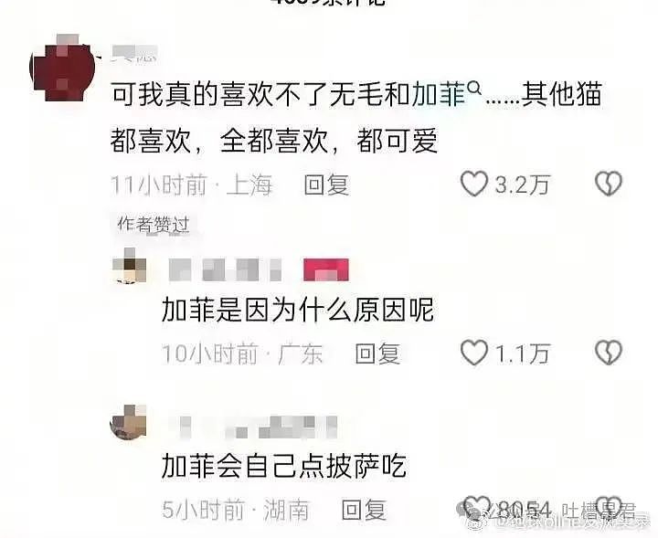 【爆笑】“女友怀孕后终于对我坦白学历?”啊啊啊,学历诈骗简直太离谱了(组图) - 74