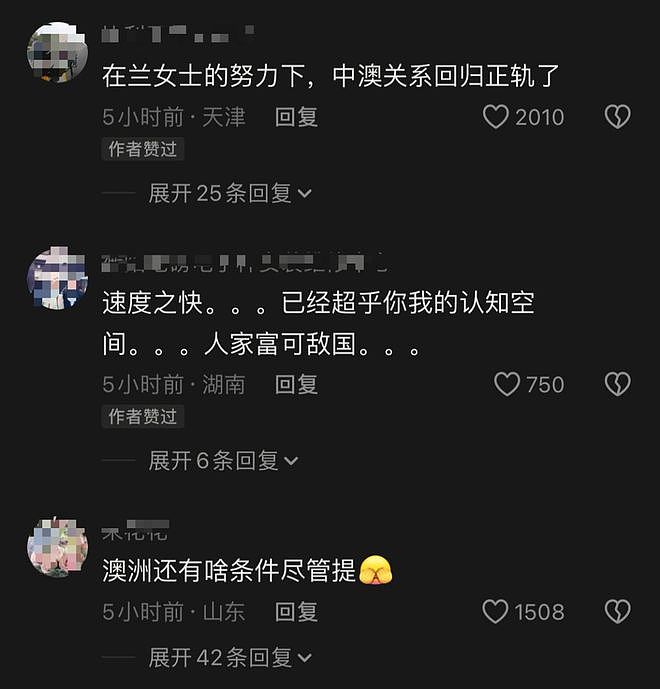 中澳贸易创历史新高！杨兰兰事件后，澳大利亚铁矿获得142亿贷款（组图） - 6