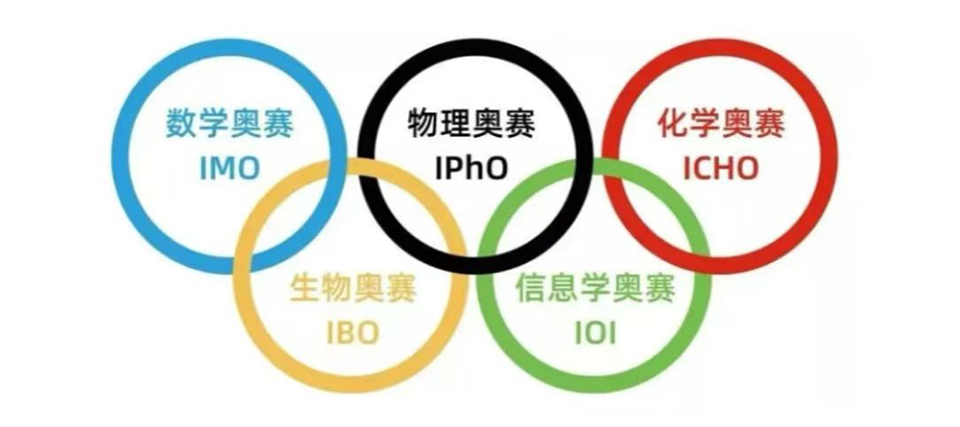 哈耶普斯麻录取的5个中国孩子,背景一个比一个“离谱”…(组图) - 13