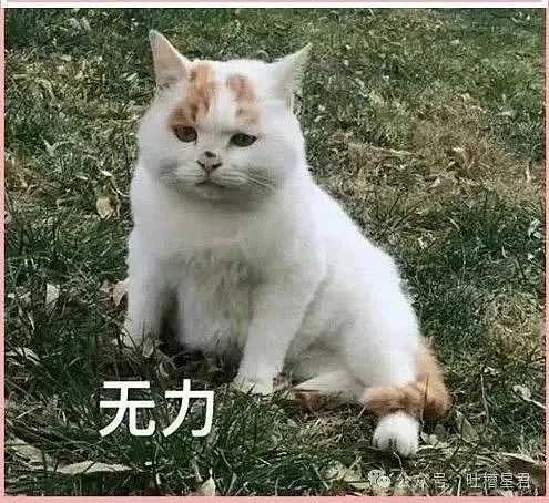 【爆笑】“女友怀孕后终于对我坦白学历?”啊啊啊,学历诈骗简直太离谱了(组图) - 2