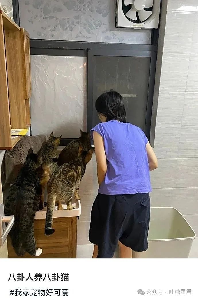 【爆笑】“女友怀孕后终于对我坦白学历?”啊啊啊,学历诈骗简直太离谱了(组图) - 35