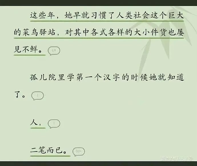 【爆笑】“女友怀孕后终于对我坦白学历？”啊啊啊学历诈骗简直太离谱了（组图） - 26