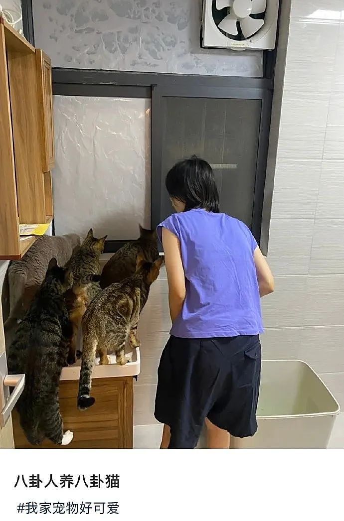 【爆笑】“女友怀孕后终于对我坦白学历？”啊啊啊学历诈骗简直太离谱了（组图） - 36
