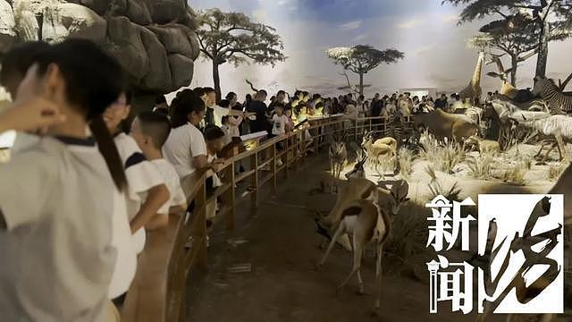 多名儿童在博物馆翻越围栏,有家长让孩子把标本抱手上拍照(组图) - 9