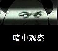 香港惊现传销式灰色产业链!港人卧底数月揭爆炸性内幕(组图) - 8