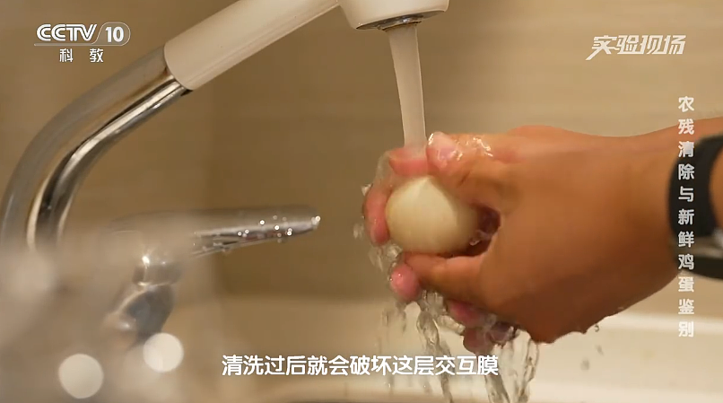 一家三口吃洗过的鸡蛋中毒！澳洲官方建议：鸡蛋不要洗！（组图） - 8