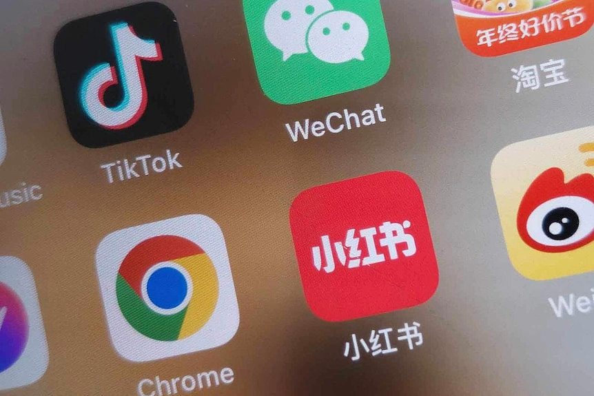 中国女性呼吁对传播性剥削影像的Telegram频道采取行动（组图） - 8