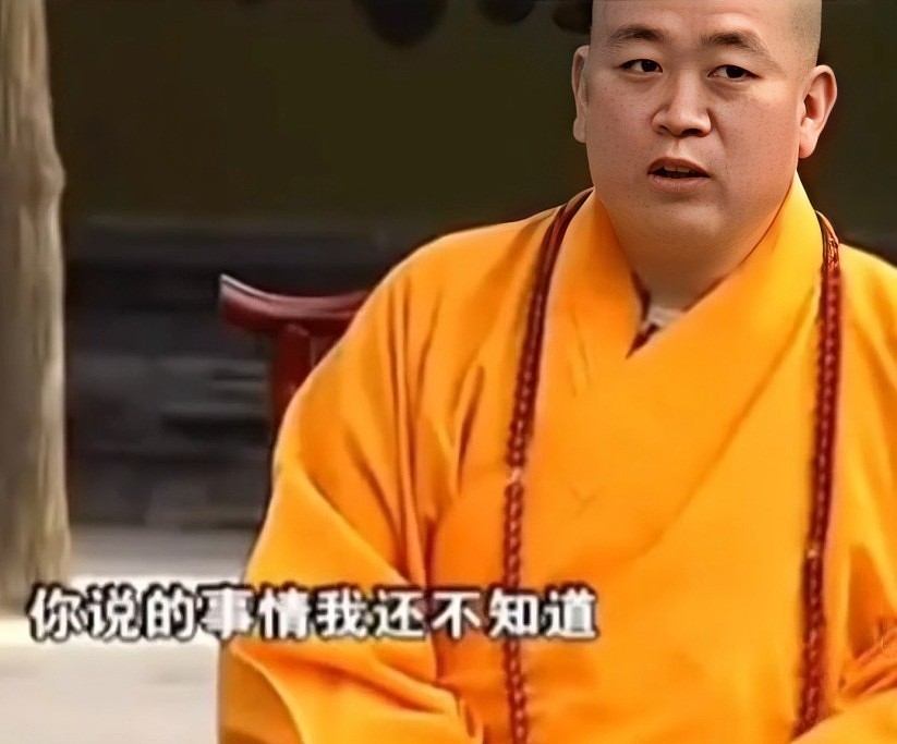 释永信被调查后,王诗龄也受到牵连,恶心的一幕在评论区上演(组图) - 12