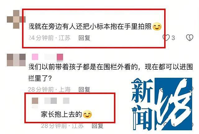 多名儿童在博物馆翻越围栏,有家长让孩子把标本抱手上拍照(组图) - 6