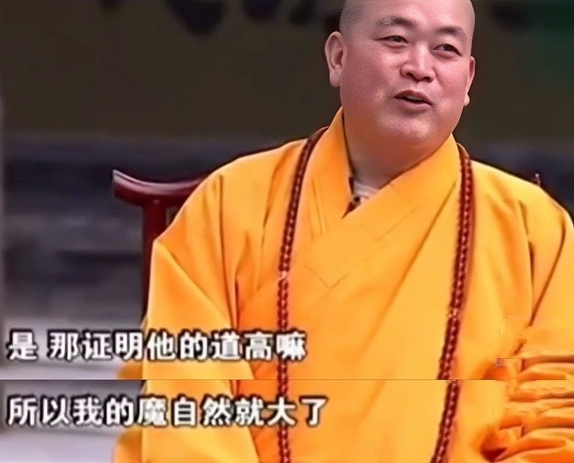 释永信被调查后,王诗龄也受到牵连,恶心的一幕在评论区上演(组图) - 5