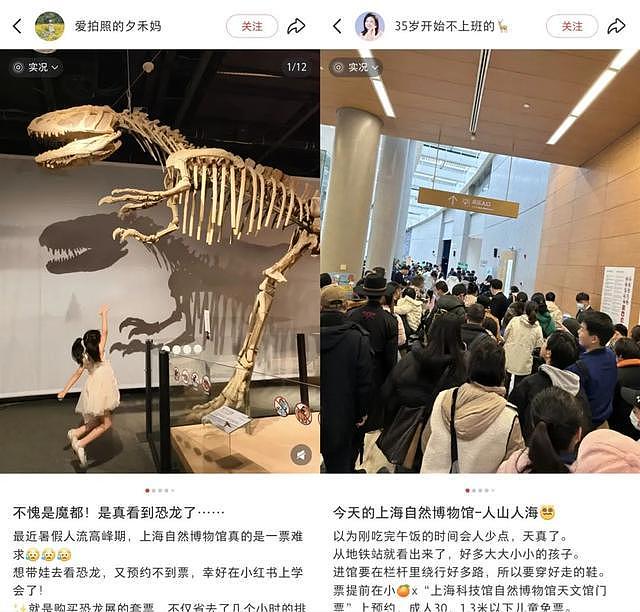 多名儿童在博物馆翻越围栏,有家长让孩子把标本抱手上拍照(组图) - 1