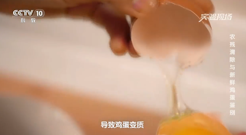 一家三口吃洗过的鸡蛋中毒！澳洲官方建议：鸡蛋不要洗！（组图） - 4