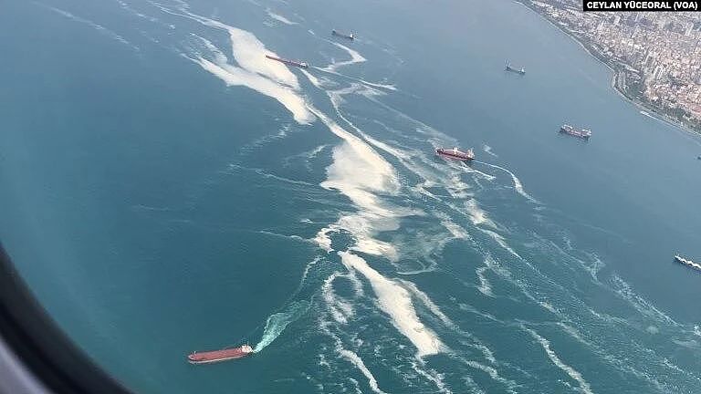 世界上最小的海，快被“鼻涕”填满了（组图） - 5