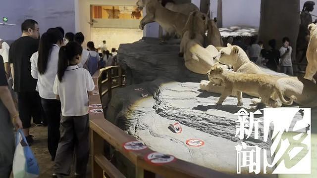 多名儿童在博物馆翻越围栏,有家长让孩子把标本抱手上拍照(组图) - 8