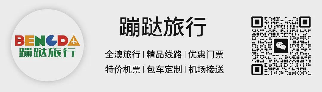 在澳中国留学生成犯罪分子利用工具！团伙盯上澳洲本土昆虫、动物！多名留学生试图帮其邮寄回国被抓！（组图） - 17