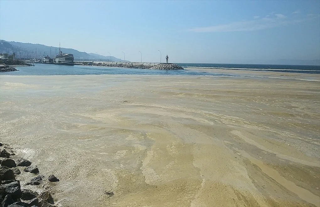 世界上最小的海，快被“鼻涕”填满了（组图） - 1