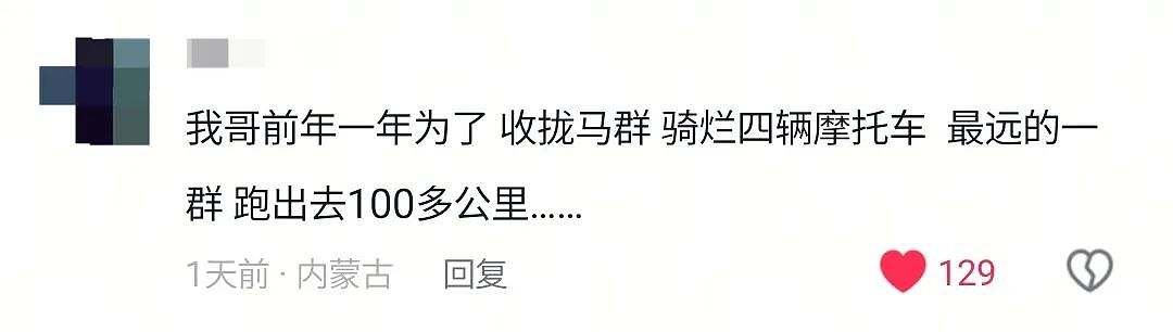 【宠物】游客看到一匹马被绑着2条腿,还以为有人虐马,正想求救…牧民:实际被虐待的,另有其人(组图) - 6