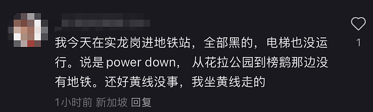 新加坡地铁突发大停电!11站停运、2条轻轨瘫痪、数十万人被困回家难…(组图) - 9