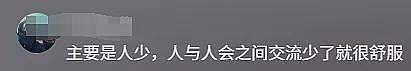 上海大爷卖房移民澳洲， 逢人便夸澳人“友善”！视频引爆网友热议...（视频/组图） - 8