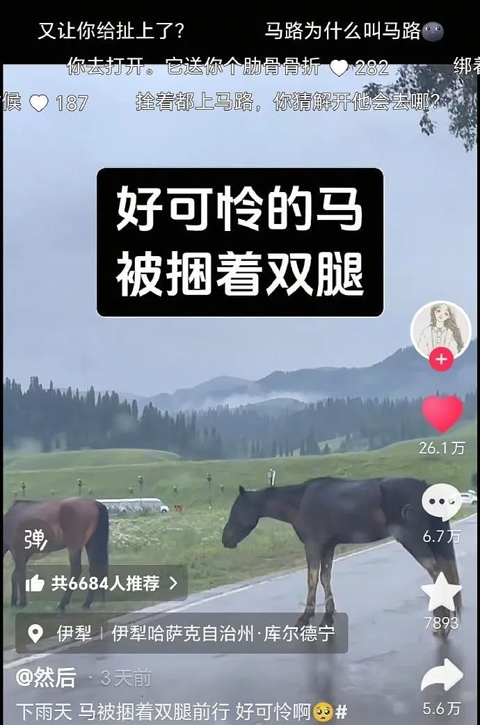 【爆笑】“300w婚房被爸妈装修成3D效果？网友傻眼：还以为到足浴中心大堂了！（组图） - 34