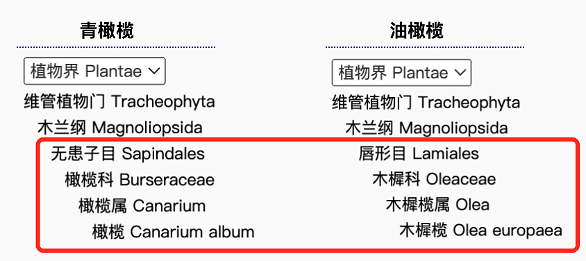 这种浑身是宝的青绿色小果子,高钙高钾又通便!没试过的人快冲(组图) - 2