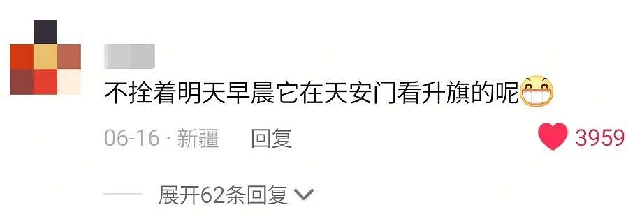 【宠物】游客看到一匹马被绑着2条腿,还以为有人虐马,正想求救…牧民:实际被虐待的,另有其人(组图) - 3