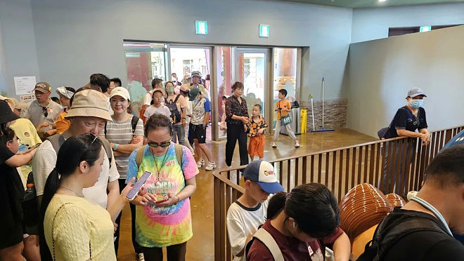 济州岛,正在被江浙沪悄悄吞并(组图) - 1