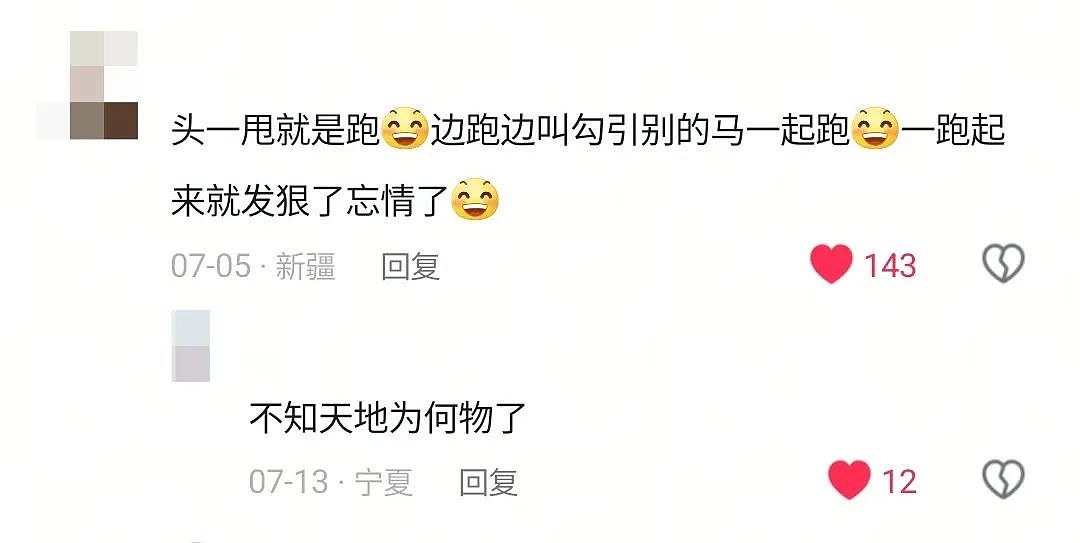 【宠物】游客看到一匹马被绑着2条腿,还以为有人虐马,正想求救…牧民:实际被虐待的,另有其人(组图) - 9
