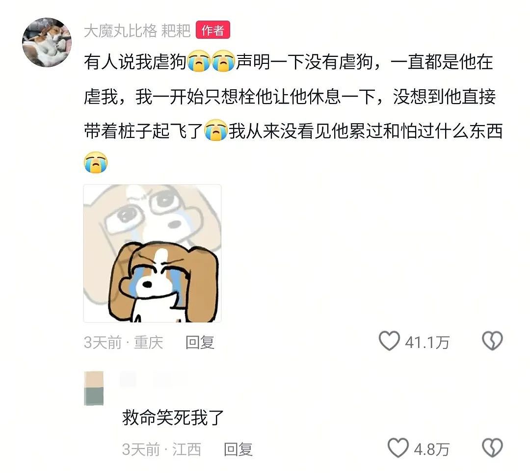 【宠物】游客看到一匹马被绑着2条腿,还以为有人虐马,正想求救…牧民:实际被虐待的,另有其人(组图) - 21