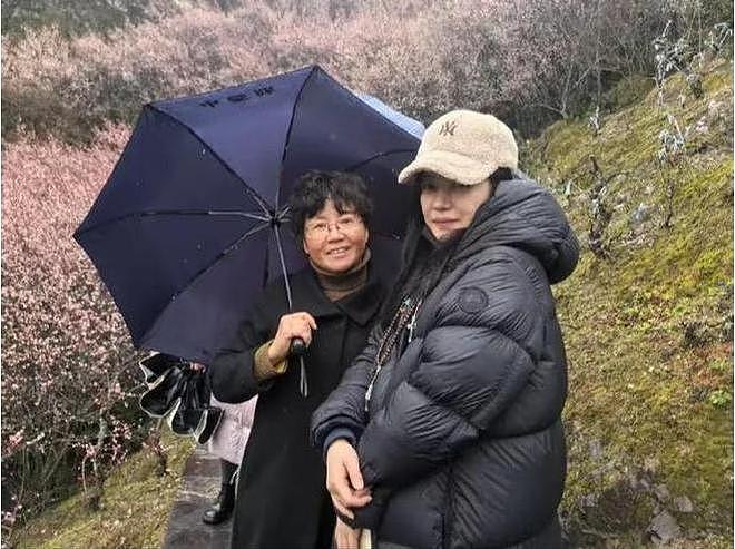 被封杀4年后，赵薇现状如何？夫离子散，被起诉已是家常便饭（组图） - 6