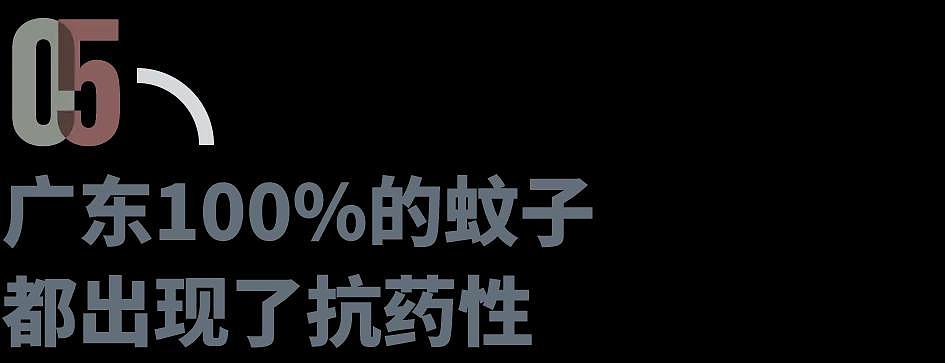 佛山运动式灭蚊,新冠后首次“全民防疫”(组图) - 15