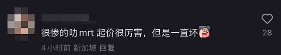 新加坡地铁突发大停电!11站停运、2条轻轨瘫痪、数十万人被困回家难…(组图) - 8