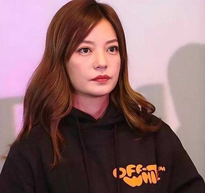 被封杀4年后，赵薇现状如何？夫离子散，被起诉已是家常便饭（组图） - 4