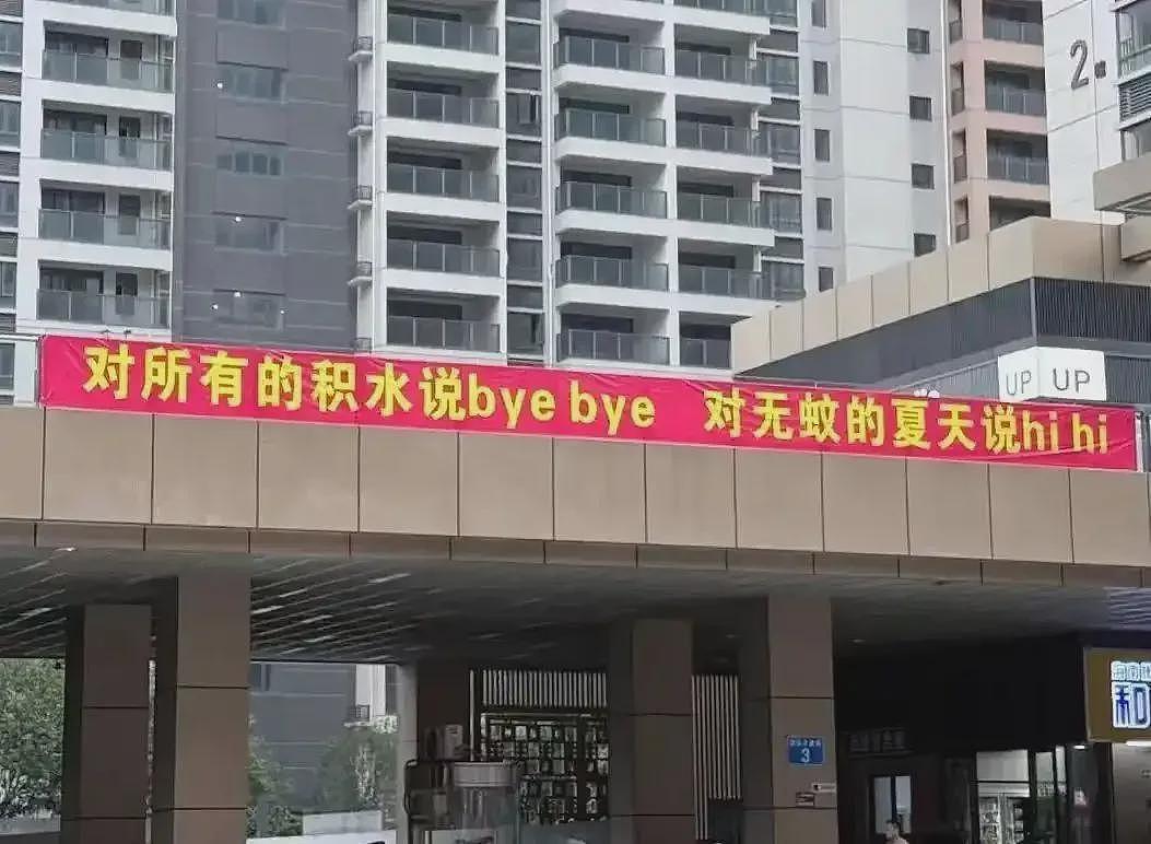 佛山运动式灭蚊,新冠后首次“全民防疫”(组图) - 8