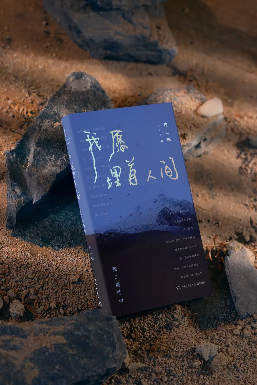 “通透”是一个成年人的体面（组图） - 15