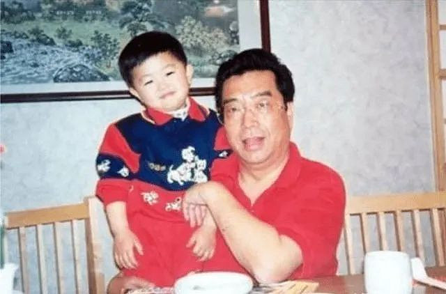 李天一赌城豪赌输800万美元,85岁李双江奔走求救(组图) - 6