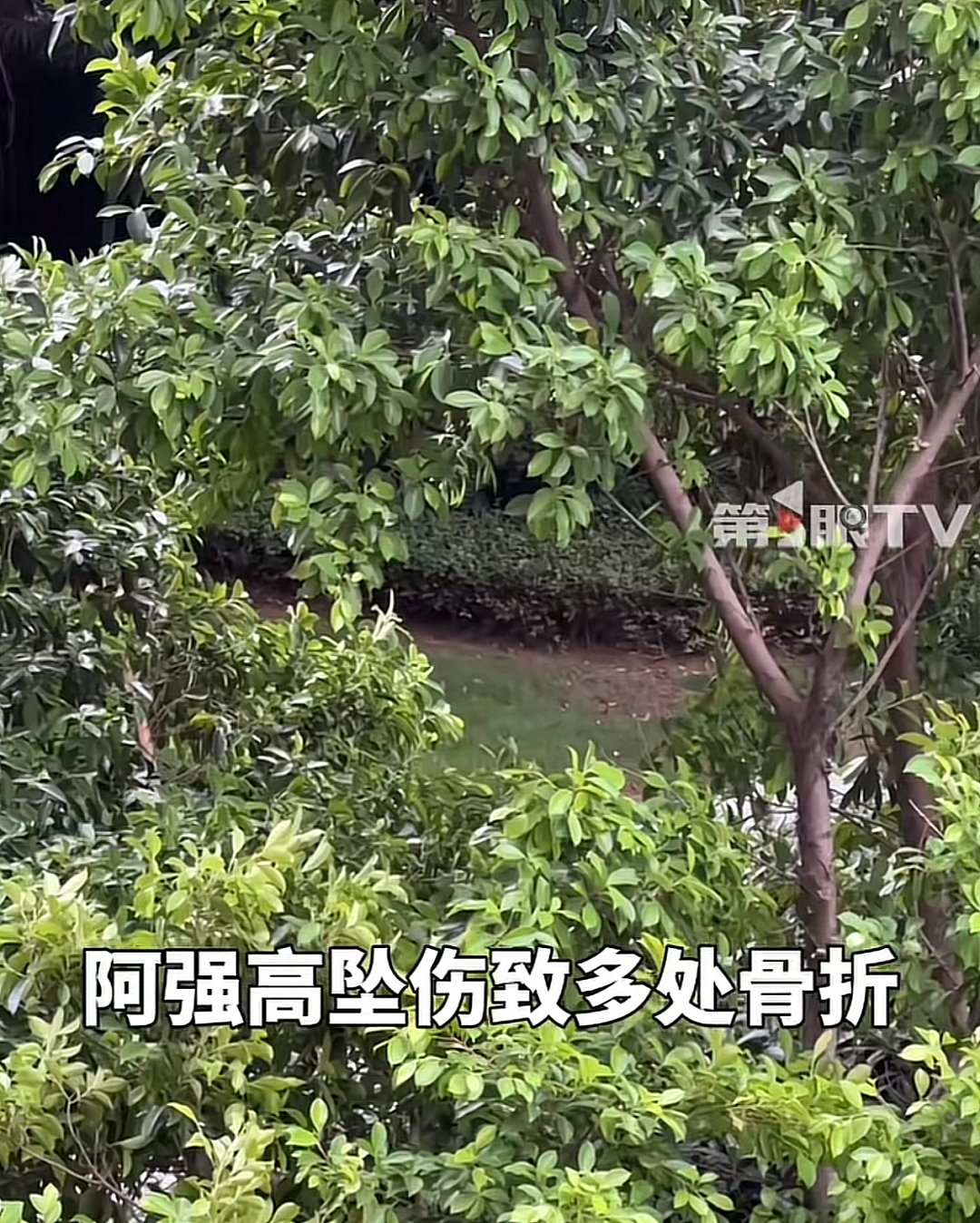 “外甥捉奸舅妈，情夫跳窗致残”：不该管的闲事，千万别插手（组图） - 5