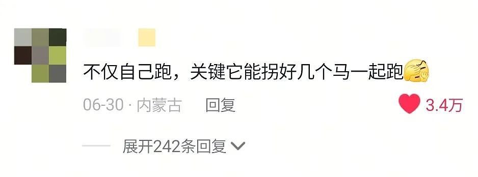 【宠物】游客看到一匹马被绑着2条腿,还以为有人虐马,正想求救…牧民:实际被虐待的,另有其人(组图) - 8