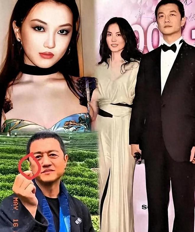 王菲辛苦养大李嫣,谁料竟成“嫁衣”,便宜了李亚鹏?(组图) - 1