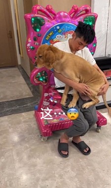 【爆笑】为啥我的屁股会在椅子上留下这种印记？网友：可怕！你的屁股已经被坐“死”了...（组图） - 7
