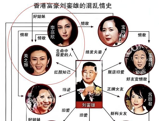 女神同场看华仔演唱会！关之琳李嘉欣状态差距大，曾为爱争斗多年（组图） - 7