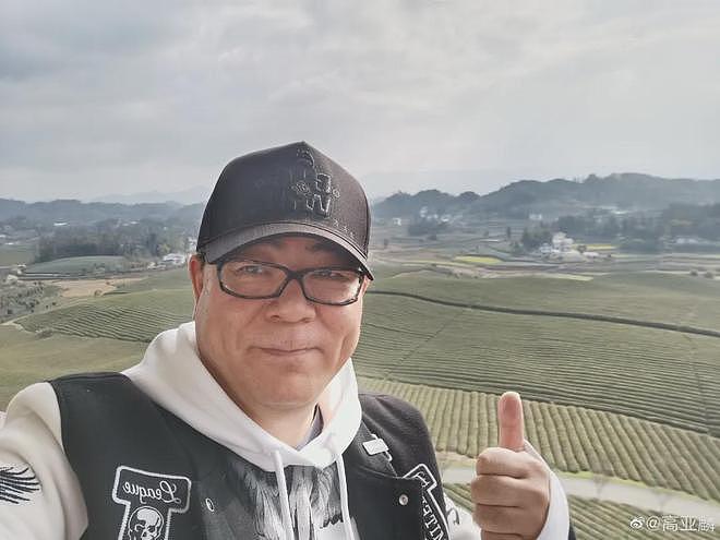 高亚麟被执行310万！一年前才被冻结788万股权，本人疯狂探店捞金（组图） - 3